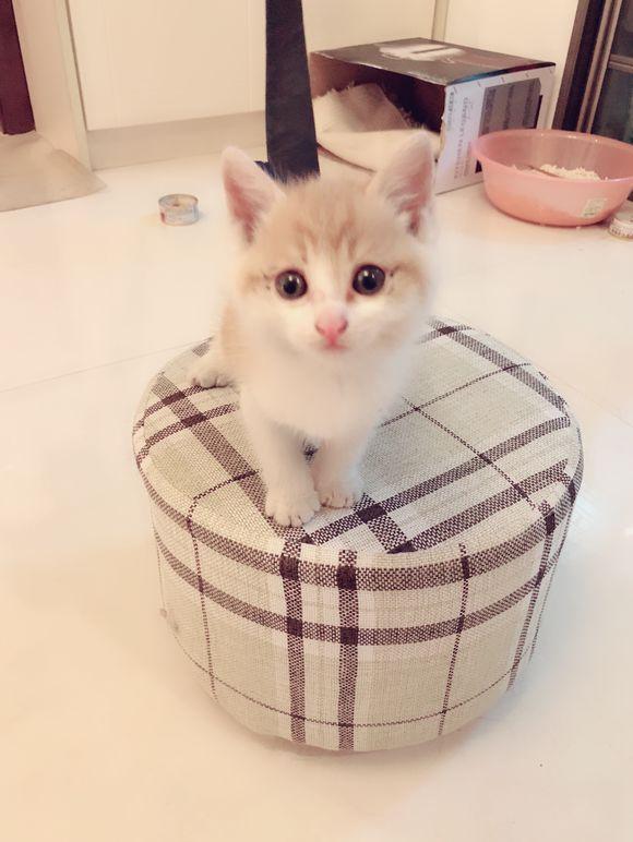 东北女孩小名：独特韵味，韵味无穷